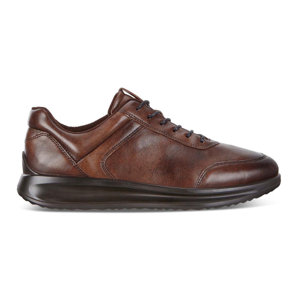 ECCO Aquet M Shoe Cocoa Brown