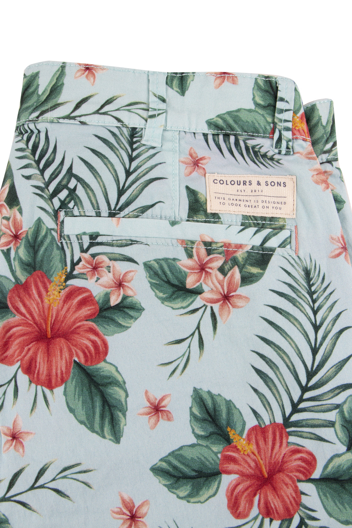 Colours & Sons Elon Shorts Green