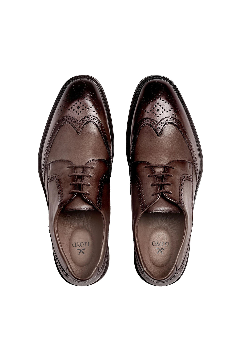 Lloyd X-Motion 140 Calfskin Lace-up Brogue Shoe Testa di Moro