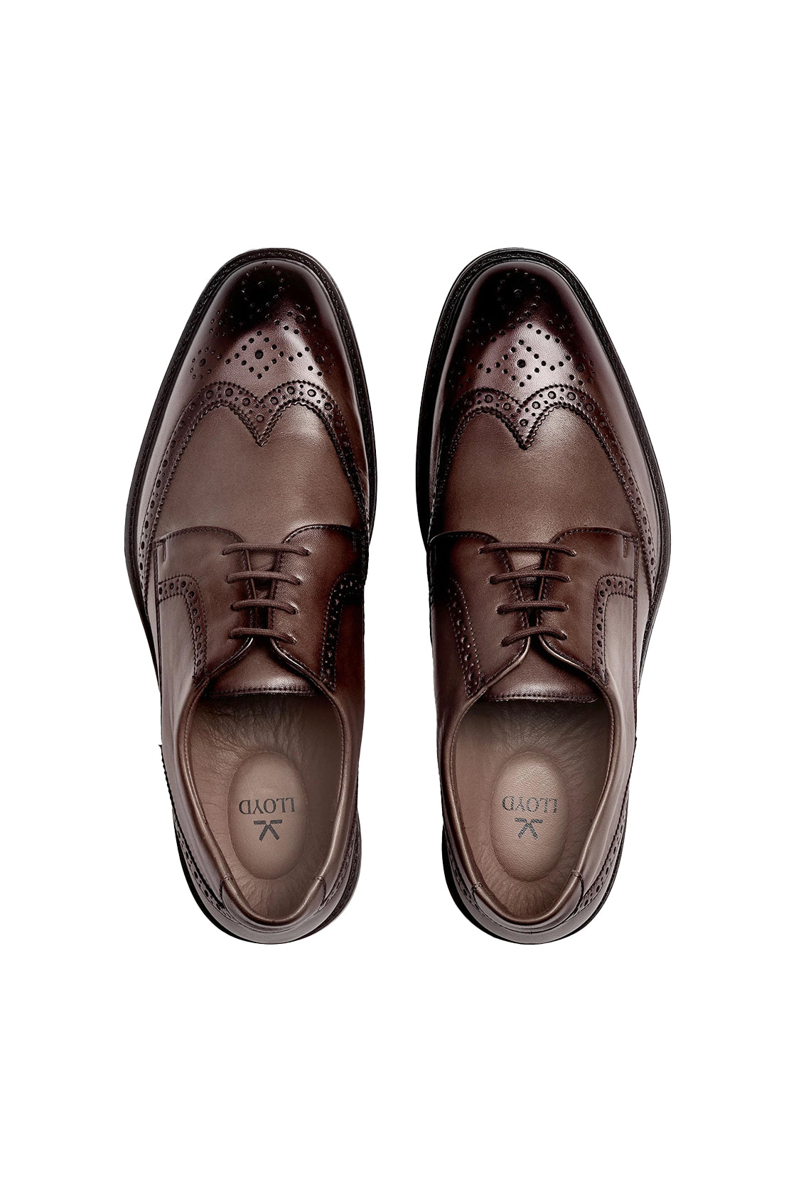 Lloyd X-Motion 140 Calfskin Lace-up Brogue Shoe Testa di Moro