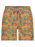 A Fish Named Fred Fruit Forest Swimmers Orange