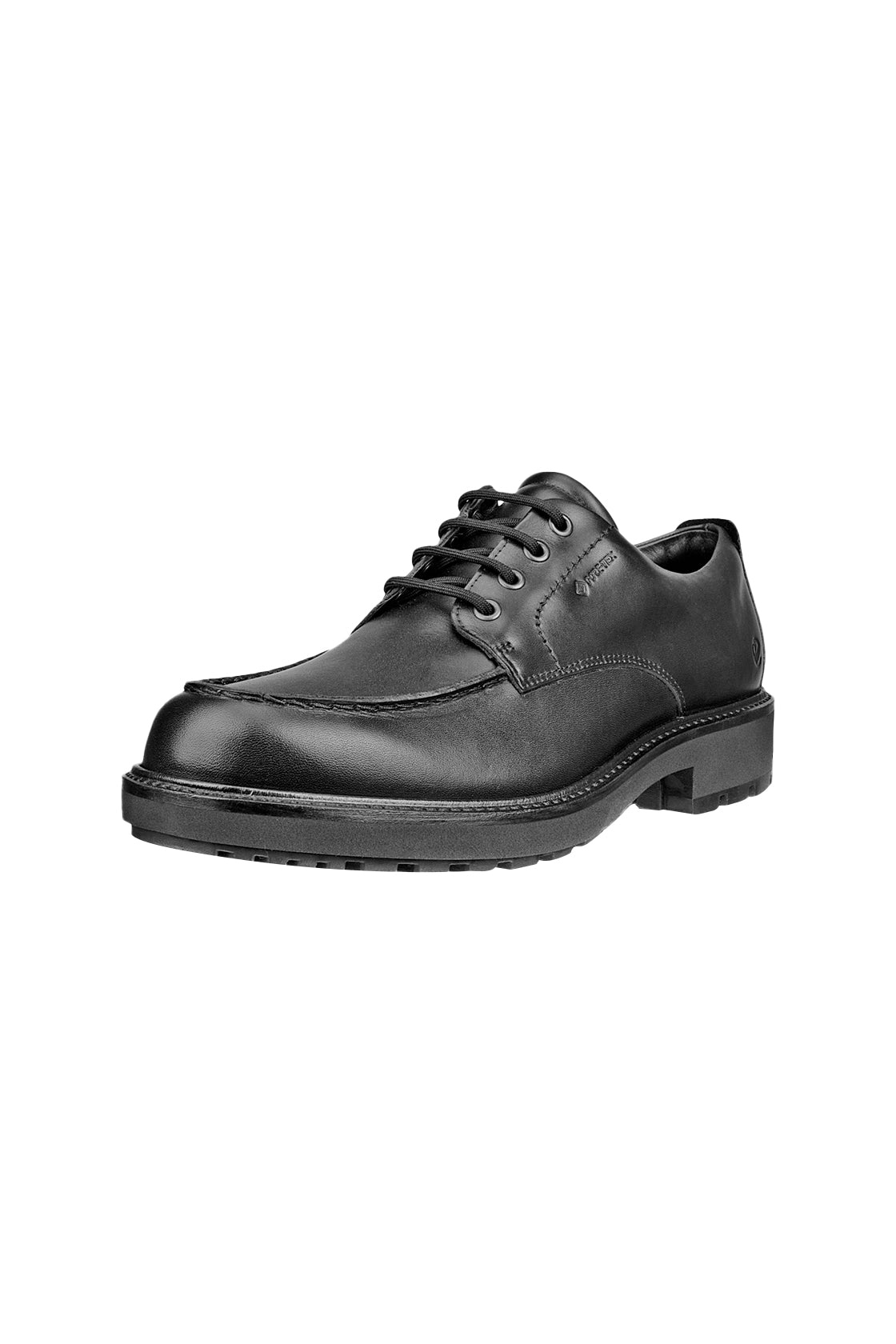 ECCO Metropole Oslo Shoe Black