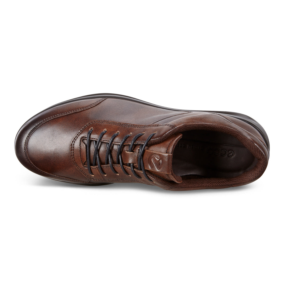 ECCO Aquet M Shoe Cocoa Brown routleys