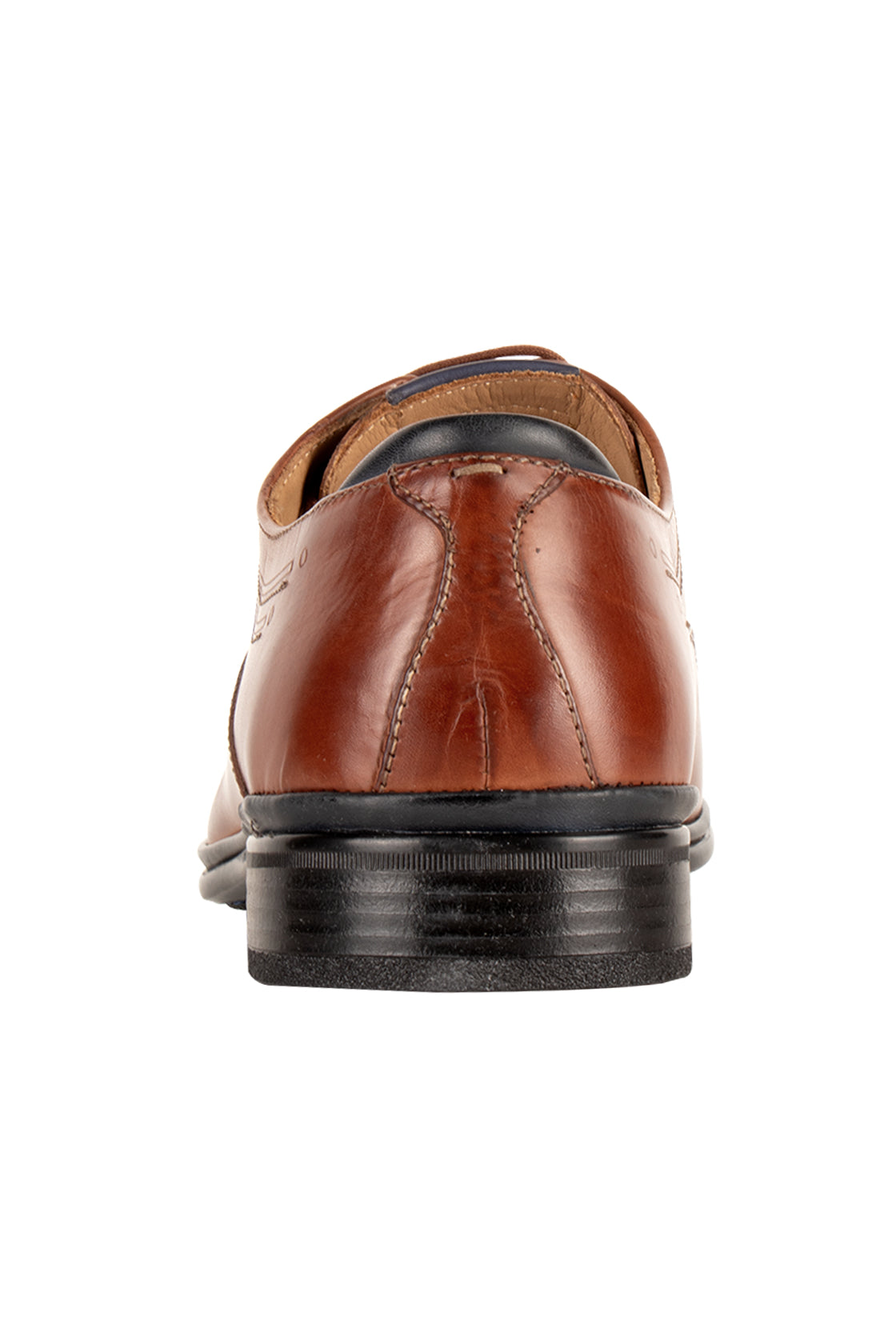 Galizio Torresi Lace Dress Shoe Marrone