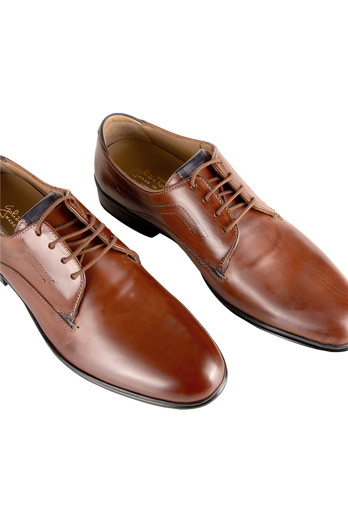 Galizio Torresi Lace Dress Shoe Marrone