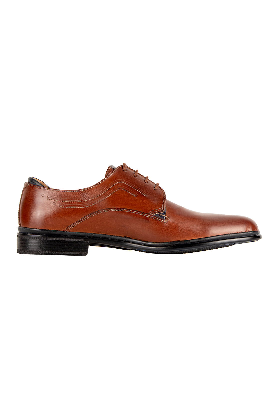 Galizio Torresi Lace Dress Shoe Marrone