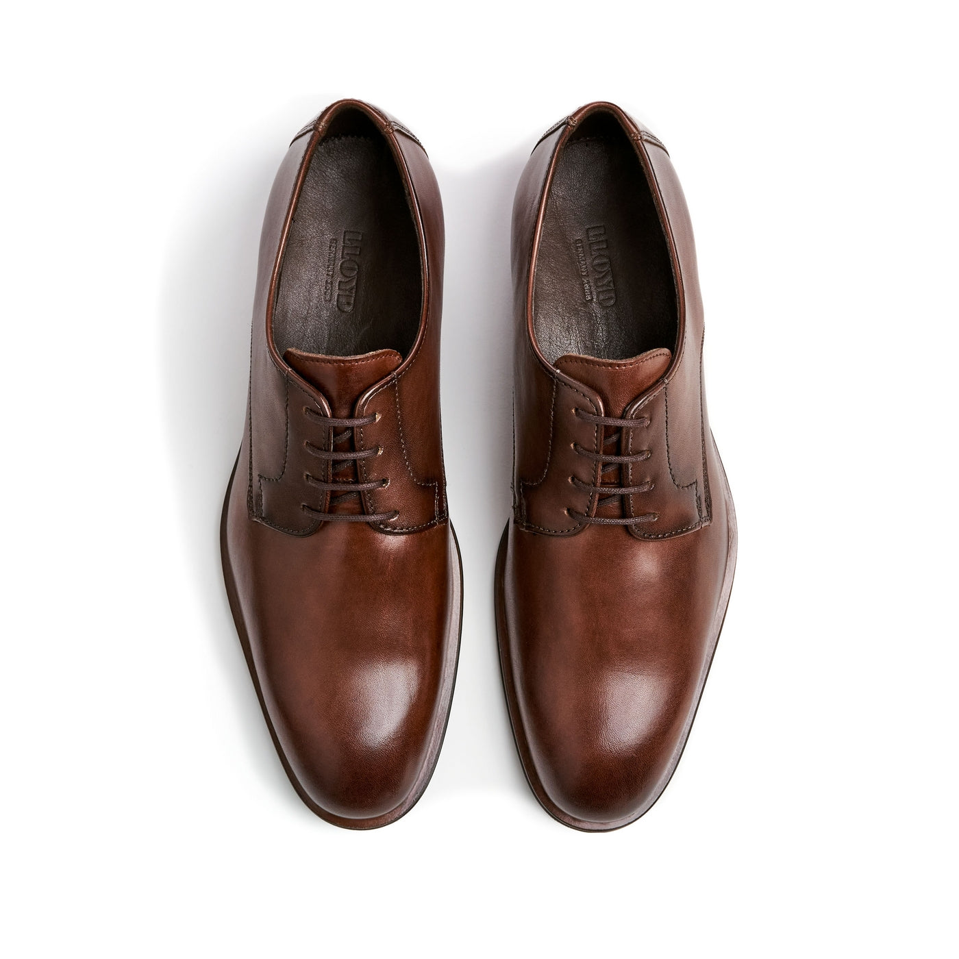 Lloyd Sabre Lace Up Shoe Cigar